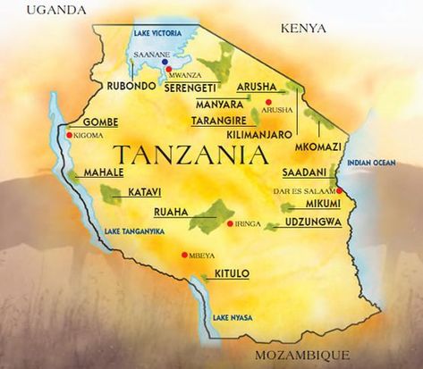 Sabbatical Ideas, Tanzania National Parks, Safari Holiday, Safari Trip, Lake Tanganyika, Arusha Tanzania, Mission Trips, World History Lessons, Africa Wildlife