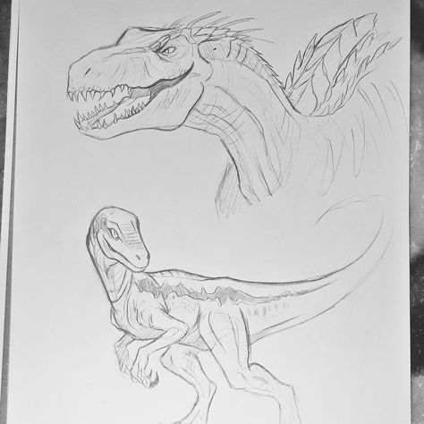 Dinosaur Reference Drawing, Indoraptor Drawing, Drawings Of Dinosaurs, Indoraptor Art, Raptor Drawing, Dino Sketch, Dinosaur Drawings, Dinosaur Pencil, Dino Drawing