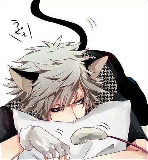 Anime Guy with cat ears and tail. it looks like ran from uta pri Cat Ears And Tail, Anime Cat Boy, Neko Boy, Gato Anime, Boy Cat, Neko Cat, Anime Lindo, Anime Guys Shirtless, Cat Boys