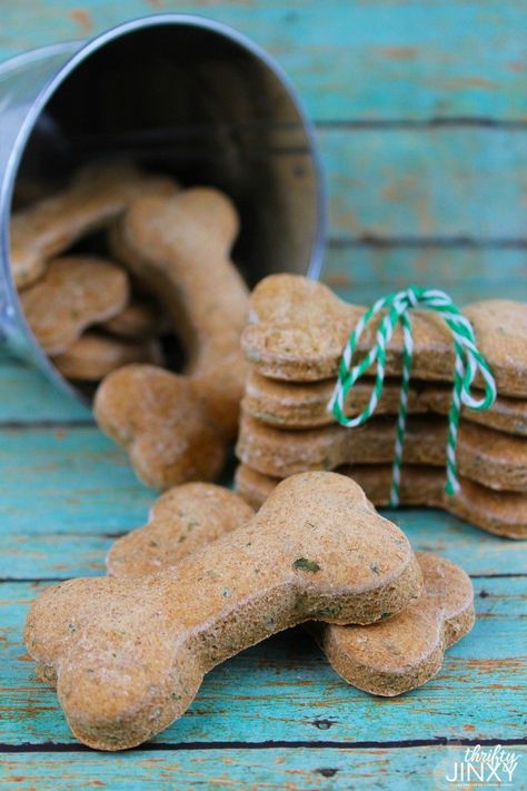 No Peanut Butter Dog Treats, Biscuit Recipes Uk, Dog Treats Homemade Pumpkin, Dog Biscuit Recipe, Biscuits Homemade, Kitty Treats, Treat Business, Homemade Dog Cookies, Dog Cake Recipes