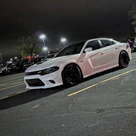 Charger Daytona on Instagram: “@djnatetron creeping in the shadows. . . . . #daytona #daytonaclub #chargerdaytona #dodgedaytona #poweredbydodge #dodgegarage” Daytona Car, Daytona Charger, Hellcat Charger, Charger Hellcat, Dodge Charger Hellcat, Dodge Daytona, Dodge Charger Daytona, Charger Srt, Body Smells