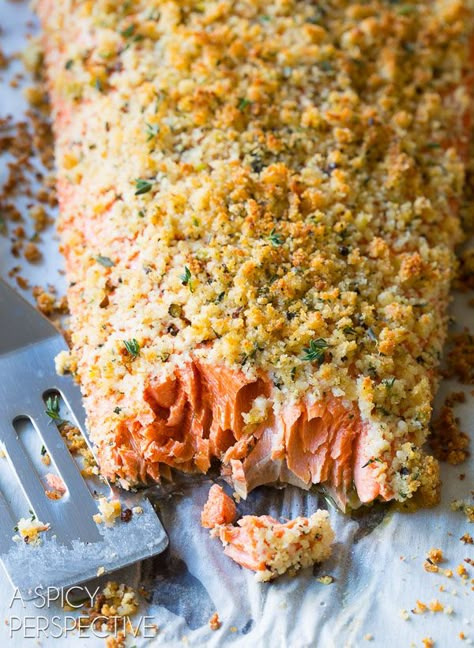 Easy Oven Baked Salmon Recipe with Parmesan Herb Crust with only 6 ingredients! This tender flaky baked salmon recipe is topped with a crunchy herb crust. Salmon Recipe Pan, Oven Baked Salmon Recipes, Crusted Salmon Recipes, Parmesan Crusted Salmon, Salmon Recipes Baked Healthy, Baked Salmon Recipe, Garlic Butter Salmon, Oven Baked Salmon, Butter Salmon