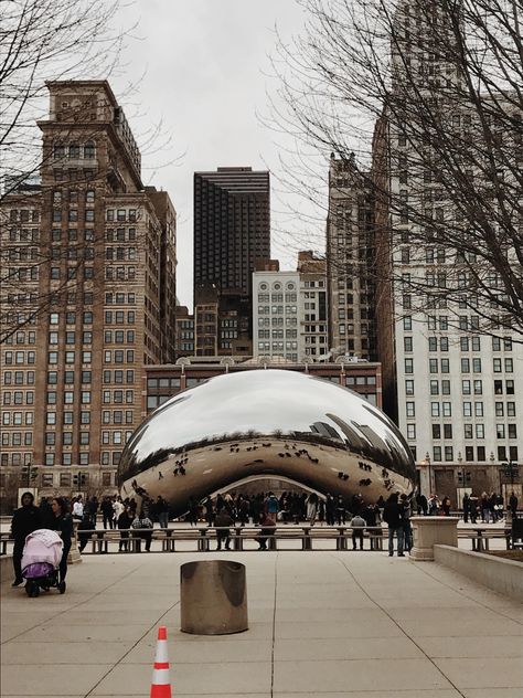 The Bean Aesthetic Chicago, Chicago Bean Aesthetic, Bean Aesthetic, Chicago Bean, Chicago Fall, Chicago Bucket List, Cob Building, Chicago Downtown, Chicago Aesthetic