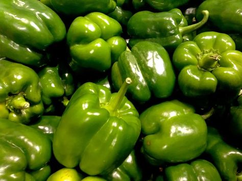 Bell Peppers: Differences Between Green, Yellow, Orange, and Red - Delishably Canning Bell Peppers, Bell Pepper Colors, Red And Green Peppers, Bell Pepper Plant, Lavender Varieties, Green Peppers, Pepper Plants, Yellow Pepper, Green Bell Peppers