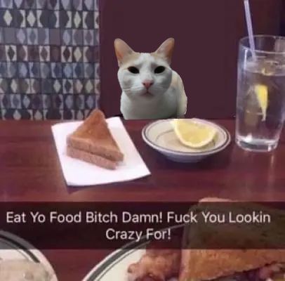 reeee Eat Yo Food B Damn, Micah Core, Minecraft People, Fat Orange Cat, Animal Eating, Orange Kitty, Ex Friends, Food Memes, Big Guy