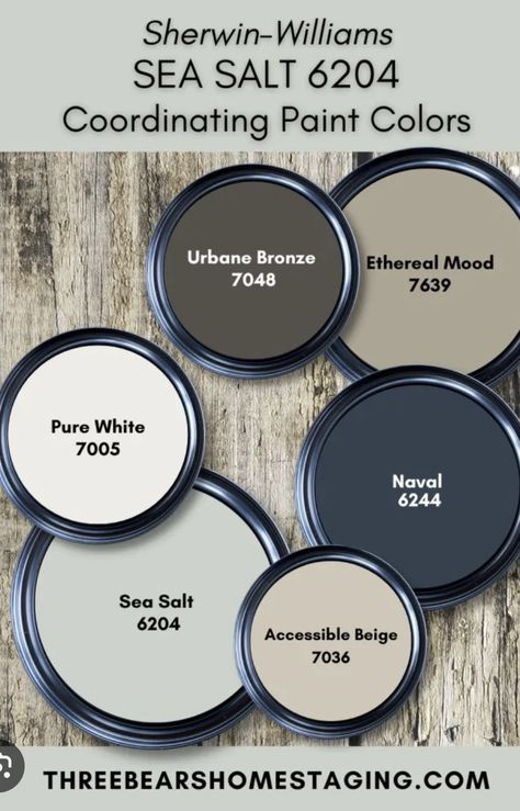 Urban Bronze Color Palette, Urban Bronze Exterior House, Urban Bronze, House Paint Interior, Paint Color Inspiration, House Color Palettes, Neutral Paint Colors, Sherwin Williams Paint Colors, House Color Schemes