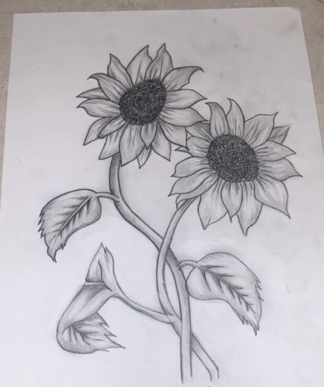 Sunflower pencil drawing Sunflower Drawing Pencil, Sunflower Pencil Drawing, Daisy Flower Drawing, Sunflower Sketches, Wood Burning Patterns Stencil, Pencil Drawings Of Flowers, Sunflower Images, Sketches Ideas, Water Coloring