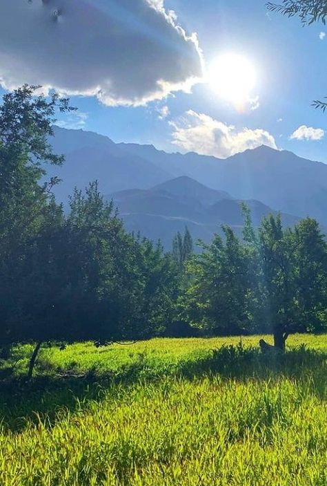 #mountain #sky #nature #natural #cloud #trees #forest #hariyali #weather #greenery #view #scene #scenery #adventure #pinterest #criatrorscreativity #naturebeauty #naturelove #travel #tour Hariyali Background, Jay Johar Photo, Colored Pencil Art Projects, Desert Theme, Mountain Sky, Mountain Waterfall, Mountain Background, Beach Background Images, Black Background Photography