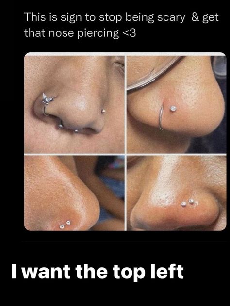 Cleaning Nose Piercing, Nose Piercing Placement, Body Jewelry Diy, Pretty Piercings, Body Jewerly, Double Nose Piercing, Cute Nose Piercings, Ear Piercings Chart, Types Of Ear Piercings