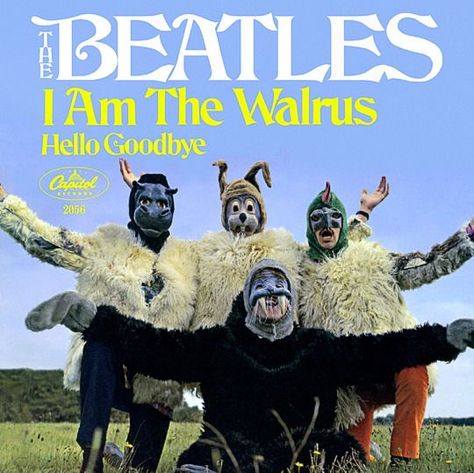 Maybe a bit far fetched, but John Lennon got the inspiration for this song by reading the novel 'the Walrus and the Carpenter', a novel by our friend Lewis Carroll. Beatles Magical Mystery Tour, Magical Mystery Tour, I Am The Walrus, Hello Goodbye, Popular Videos, Paul Mccartney, Full Movies, The Beatles, Sign Poster