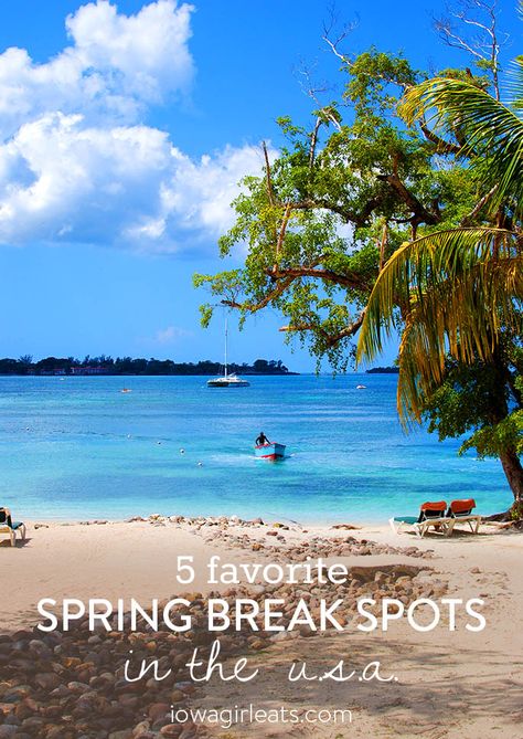 No need to head abroad, there are fun places to visit for spring break right here in the US! Here are 5 of my favorite destinations. | iowagirleats.com Spring Break Packing List, Spring Break Packing, Fun Places To Visit, Spring Break Pictures, Spring Break Party, Spring Break College, Break Ideas, Spring Break Vacations, Spring Break Destinations