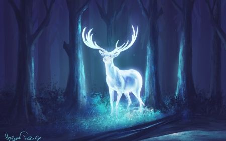 Deer - forest, luminos, fantasy, patronus, blue, night, horns, deer, light, spirit, tree White Deer, Antlers, Deer, Harry Potter, Forest, Wallpapers, Blue, White