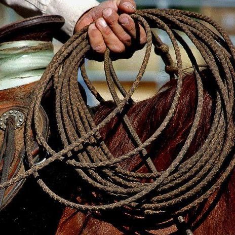 Gay Cowboy Aesthetic, Rdr2 Aesthetic, Abigail Marston, Desert Kingdom, Cowboy Star, Livestock Branding, Cowboy Aesthetic, Western Saddles, Cowboy Gear