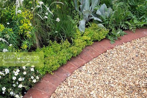 Gravel path with brick edging in The Baroque garden at RHS Tatton Park Flower Show, 2019. Baroque Garden, Garden Improvement, Mediterranean Garden Design, Brick Edging, Brick Path, Gravel Patio, Brick Garden, Gravel Path, Gravel Garden