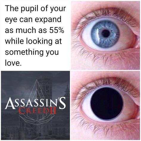 Assassins Creed Meme, Assesin Creed, Video Games Song, Assassins Creed Memes, Assassin's Creed Ezio, Assassins Creed Funny, Assassins Creed Ii, Assassin's Creed Brotherhood, Assassins Creed Game