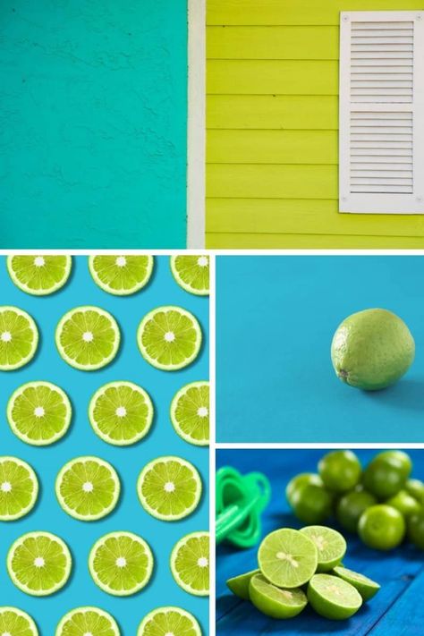 selection of images of lime green and turquoise and lime green and blue Lime Green Decor, Lime Green Rug, Lime Green Kitchen, Lime Green Walls, Orange Color Combinations, Green Branding, Green Color Combinations, Green Name, Off White Paints