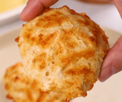 Three-Ingredient Cheesy Yogurt Drop Biscuits Recipe Biscuits Recipe Easy, Bisquit Recipes, Gluten Free Drop Biscuits, 2 Ingredient Biscuits, Easy Home Meals, Nicoise Salad Recipe, Yogurt Drops, Drop Biscuits Recipe, Easy Biscuit