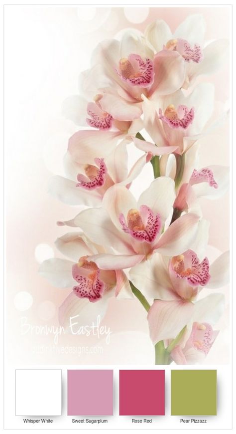 Stampin’ Up! Colour Combos for Paper Orchids – Part C Colour Swatches, Last Will And Testament, Will And Testament, Orchid Color, Paint Color Schemes, Color Inspo, Colour Combinations, Exotic Flowers, Color Blending