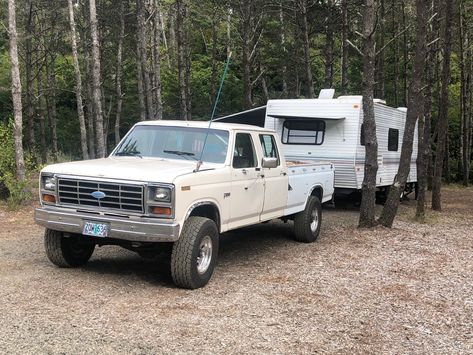 Ford Bullnose, Bullnose Ford, Ford Work Trucks, Ford F150 Custom, Full Size Pickup Truck, Work Trucks, Trucks Ford, Dream Trucks, Classic Ford Trucks