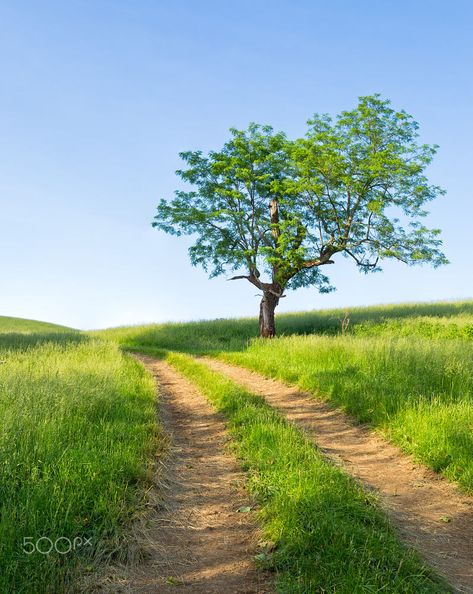 Forest Drawing, Country Lane, Village Photography, Forest Photos, Rural Scenes, Landscape Photography Nature, Landscape Art Painting, Dirt Road, Beautiful Images Nature