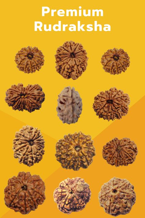 #rudrakhsa #premiumrudraksha #godshiva #locules Rudraksha Meaning, Girish Kumar, Namah Shivaya, Rudraksha Beads, Om Namah Shivaya, God Shiva, The Hindu, Wholesale Store, Beads Wholesale