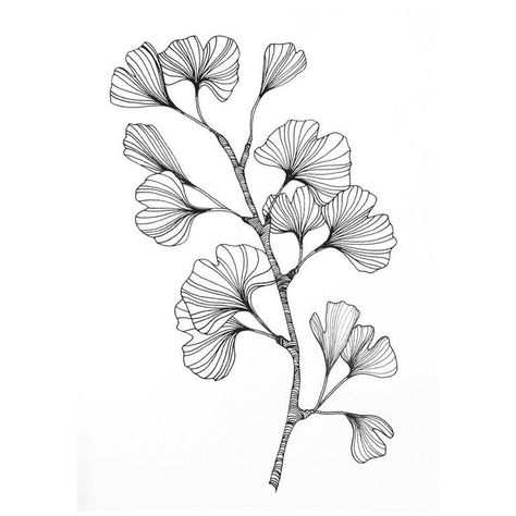 Ginko Leaves, Art In Black And White, Branch With Leaves, Kunst Tattoos, Illustration Tattoo, Afrikaanse Kunst, Tattoo Sketch, Makeup Eyes, Instagram Makeup