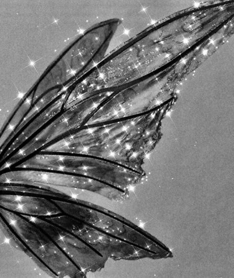 Black Fairy Wings, Fairy Wings Aesthetic, Arte Glitter, Taurus Moon, Black And White Photo Wall, Black Fairy, Fotografi Digital, Black And White Picture Wall, Fotografi Vintage