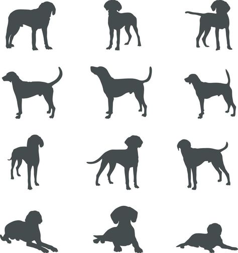 American foxhound dog silhouettes, American foxhound silhouette, American foxhound Svg, American foxhound vector Fox And Hound, Foxhound Dog, Dog Silhouettes, American Foxhound, Dog Vector, The Fox And The Hound, Dog Silhouette, Vector Shapes, Svg Silhouette