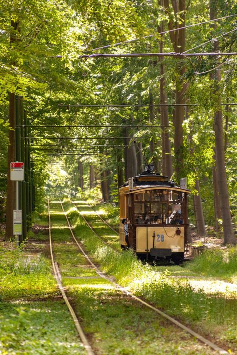 Things To Do In Brussels, Speculative Design, Cool Things To Do, Old Trains, Cool Things, City Landscape, City Break, 12th Century, Winter House