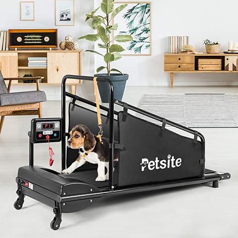 Amazon.com : PETSITE Dog Treadmill, Pet Dog Fitness Treadmill for Indoor Exercise with Remote Control & Display Screen : PETSITE : Pet Supplies Dog Treadmills, Running Treadmill, Dog Treadmill, Running Machine, Dog Running, Energetic Body, Running Machines, Running On Treadmill, Dog Exercise