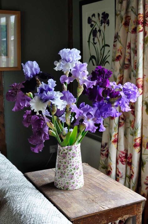 Beautiful arrangement of bearded irises in shades of blue and purple Iris Bouquet, Iris Garden, Bearded Iris, Purple Iris, Trendy Flowers, Hardy Plants, Beautiful Flower Arrangements, Iris Flowers, Irises