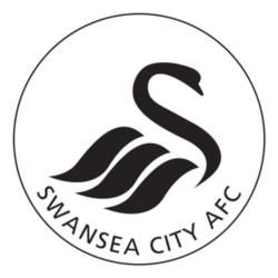 Opposition view: Swansea City British Football, Premier League Teams, Match Of The Day, English Football League, Team Badge, Soccer Logo, Swansea City, Football Team Logos, City Logo