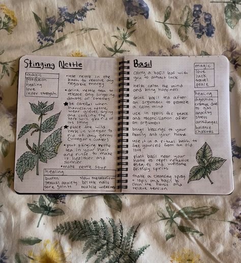 Herb Aesthetic Wallpaper, Herb Book Aesthetic, Herb Journal Ideas, Herbal Garden Aesthetic, Plant Journal Aesthetic, Medicinal Herb Journal, Herbalist Journal Ideas, Herbalism Journal Ideas, Herbal Journal Ideas