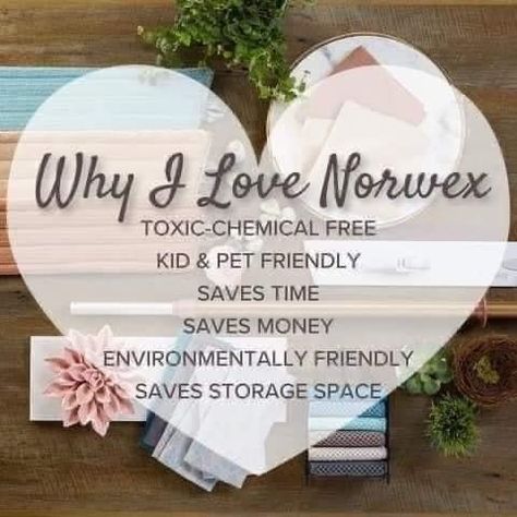 Norwex Biz, Norwex Party, Norwex Consultant, Norwex Microfiber, Norwex Cleaning, Child Plan, Social Media Following, Brand Your Business, Cleaning Paste