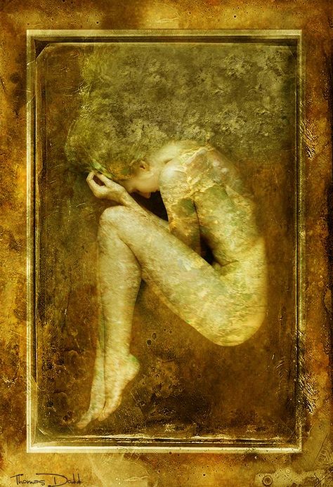 Cocoon (© 2014 by Thomas Dodd) model - Eva Metamorphosis Art, Medical Drawings, Fetal Position, Art Theme, Ap Art, Abstract Drawings, Dreamy Art, Art Poses, Art Reference Photos