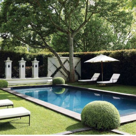 dip and relax .. White Landscaping, Moderne Pools, Backyard Privacy, Small Pools, Dream Pools, Beautiful Pools, Swimming Pools Backyard, Pool Design, Plunge Pool