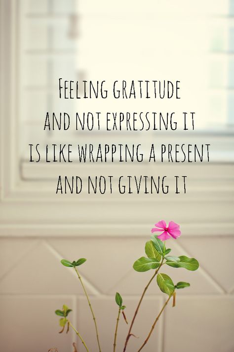 I'm learning how to be grateful. Feeling gratitude and not expressing it is like wrapping a present and not giving it. William Arthur Ward. This is a blog on gratitude. quotes for gratitude. expressing gratitude quotes. I love william ward quotes. I'm being grateful. expressing gratitude. gratefulness. Express Gratitude Quotes, Gratitude Poems, Gratitude Quotes Thankful, Grateful Quotes, Gratitude Activities, Feeling Grateful, Gratitude Journal Prompts, Gratitude Challenge, Quotes Friendship