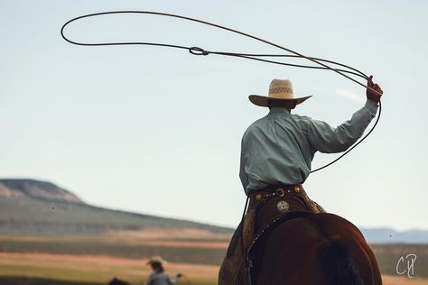 Chris Dickinson Photography “With his rope in the air, Ike moves in for a catch at branding at a Ranch in Utah.” Roping Aesthetic, Roping Cattle, Cowboy Life, American Paint Horse, Cattle Drive, American Paint, Book Aesthetics, Rural Life, Cowboy And Cowgirl