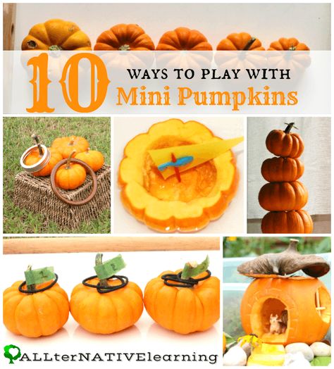 10 simple play ideas to use mini pumpkins while celebrating and learning about fall. Montessori-inspired ideas and other learning activities using pumpkins. Mini Pumpkin Activities Preschool, Fall Classroom Activities 1st Grade, Reggio Halloween, Prek Pumpkins, Autumnal Activities, Preschool Pumpkins, October Preschool, Pumpkins Preschool, Preschool Thanksgiving