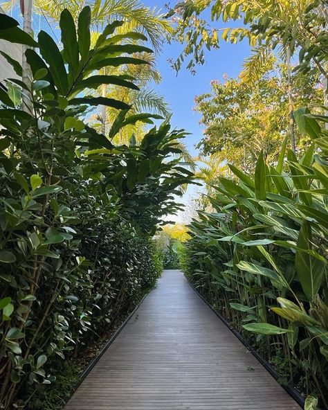 Resort Pathway, Corridor Garden, Pathway Ideas, Eco Resort, Bali Villa, Tropical Landscape, City Planning, Sea Side, Landscape Photography Nature