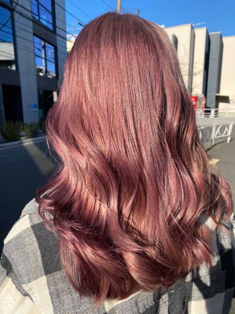 Pink Hair Dye Over Brown Hair, Dusk Pink Hair, Red Pink Brown Hair, Rose Pink Brown Hair, Brown Pinkish Hair, Maroon Pink Hair, Strawberry Chocolate Hair, Pink Dye On Brown Hair No Bleach, Chocolate Pink Hair