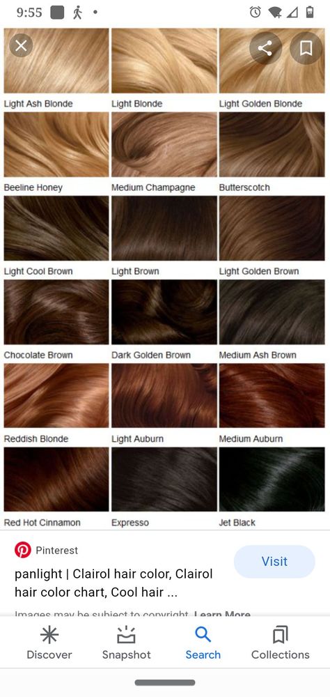 Clairol Hair Color Brunette Hair Color Swatches, Light Gold Brown Hair, Light Hazelnut Brown Hair, Clairol Hair Color Chart, Brown Box Dye, Ion Hair Color Chart, Latte Hair Color, Types Of Brown Hair, Ash Brown Hair Dye