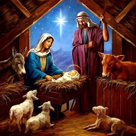 Christmas Nativity Images, Nativity Scene Pictures, Merry Christmas Jesus, City Of David, Nativity Of Jesus, Luke 2 11, Blessed Mother Statue, Beautiful Christmas Scenes, Merry Christmas Pictures