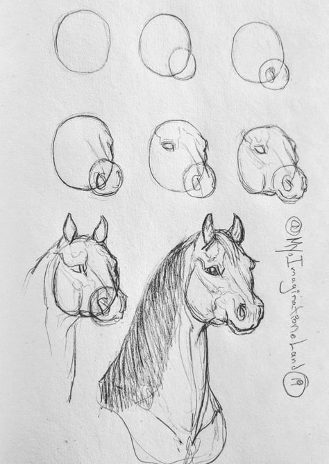 Horse Drawing Tutorial, Draw A Horse, Horse Art Drawing, Horse Sketch, Horse Drawings, Horse Drawing, Easy Drawings Sketches, Cute Doodles Drawings, I Love Art