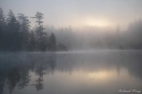 Dream Lake Foggy Lake, Foggy Sunrise, Nature Photographers, Fine Art Printmaking, San Juan Island, Lake Painting, San Juan Islands, Fine Art Photography Print, Photo Blog