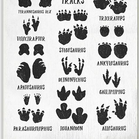 I saw the same track print, that's tattooed on the side of my foot, at the gym. Interesting. It was little on the ground, but there it was. Like a dinosaur print, in the first photo, that's it, in the tan. What are the chances, I'd see that?, And have that tattoo already, highly unlikely. T-rex Art, Dino Tracks, Dinosaur Activities Preschool, Dinosaur Tracks, Dinosaur Drawing, Dinosaur Activities, Stupell Industries, Art Kids, At The Gym
