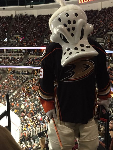 Anaheim ducks mascot, wild wing Anaheim Ducks Aesthetic, Anaheim Ducks Wallpaper, Ducks Aesthetic, Trevor Zegras, John Gibson, Hockey Men, Duck Wallpaper, Mighty Ducks, Stanley Cup Champions