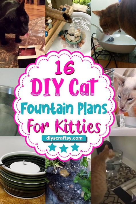 DIY Cat Fountain Plans Cat Garden Water Bowl, Diy Cat Drinking Fountain, Cat Fountain Drinking Water, Diy Cat Fountain How To Make, Dog Fountain Outdoor Diy, Diy Pet Fountain, Diy Pet Water Fountain, Diy Cat Fountain, Diy Cat Water Fountain