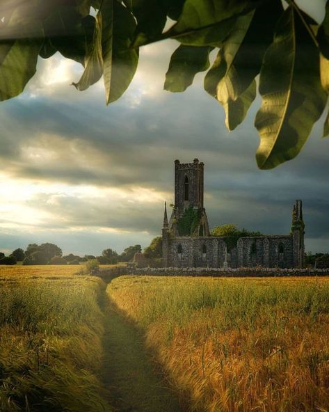 Ireland Travelers on Instagram: “Ballynafagh Church 😍 Your daily dose of IRELAND 🇮🇪❤️ . . Credits to: @memory.maker.pete . . #ireland #ireland_exploring #irelandtravel…” Memory Maker, Silver Lights, Historical Place, Ireland Travel, Study Abroad, Dublin, Monument Valley, Europe Travel, The Darkest