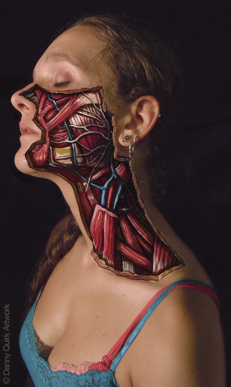 Facial Dissection by Danny Quirk, via Behance Danny Quirk, Inside Human Body, Facial Anatomy, Human Body Art, Human Body Anatomy, Art Body, Body Anatomy, Human Condition, Body Modifications